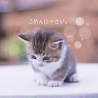 すみませんっ！