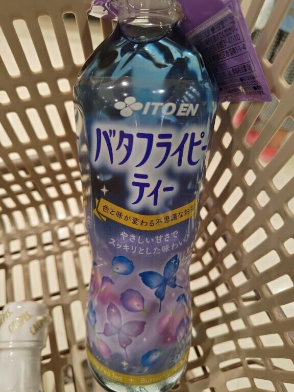 見つけました！
