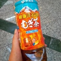 遠藤です