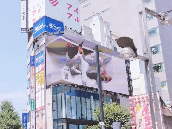 可愛い