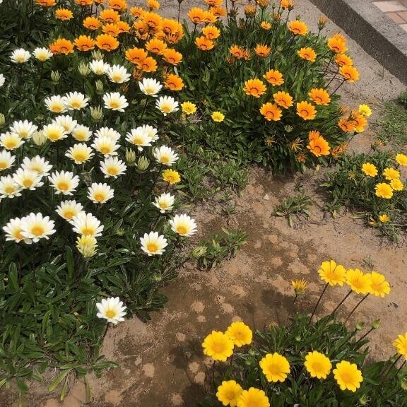 ホテル テンセゾン船橋