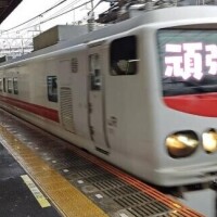 マイペースに頑張る！