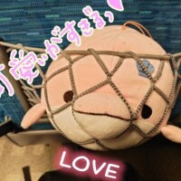 癒やし必要