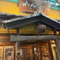 戸部ログ