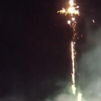 最近のウチ｡｡｡その2
