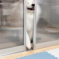 どこでフリフリされたい？？