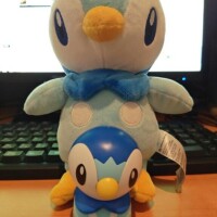 桜川【さくらがわ】