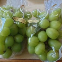 絶対旨い