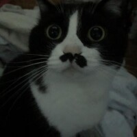 ゆっくり休んでね〜♪♪
