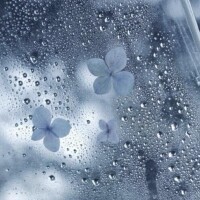 ぐっすり寝れた…。