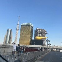 八木【やぎ】