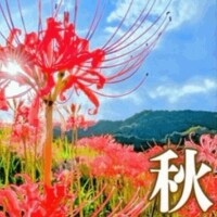 片桐【かたぎり】