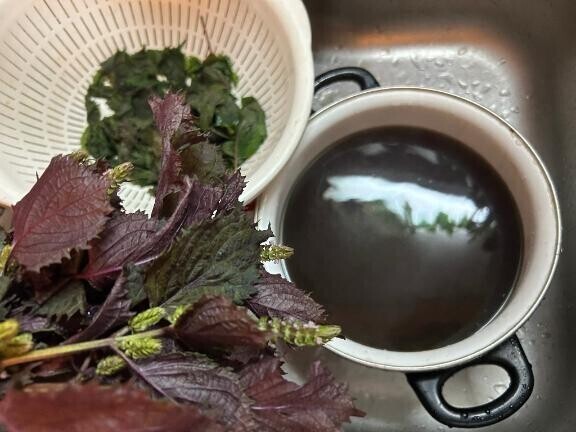 人生初の赤紫蘇ジュース