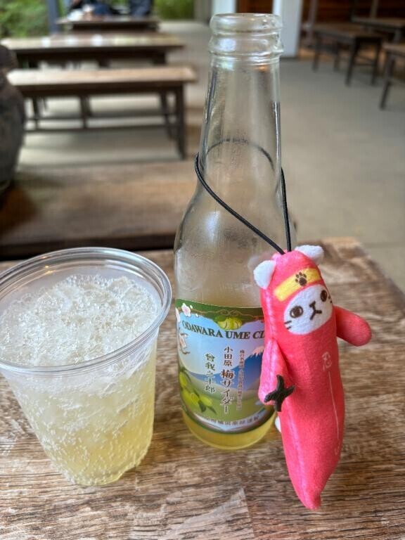 [お題]from:ウマシカさん