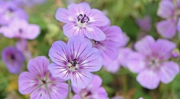 気晴らしに、近くの