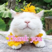 相川【あいかわ】