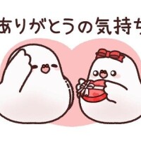 U様感謝🩷