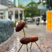 西葛西で
