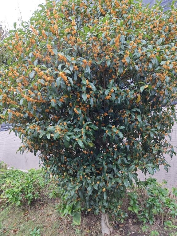 おつかれさまです