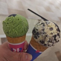 さくらの悩み