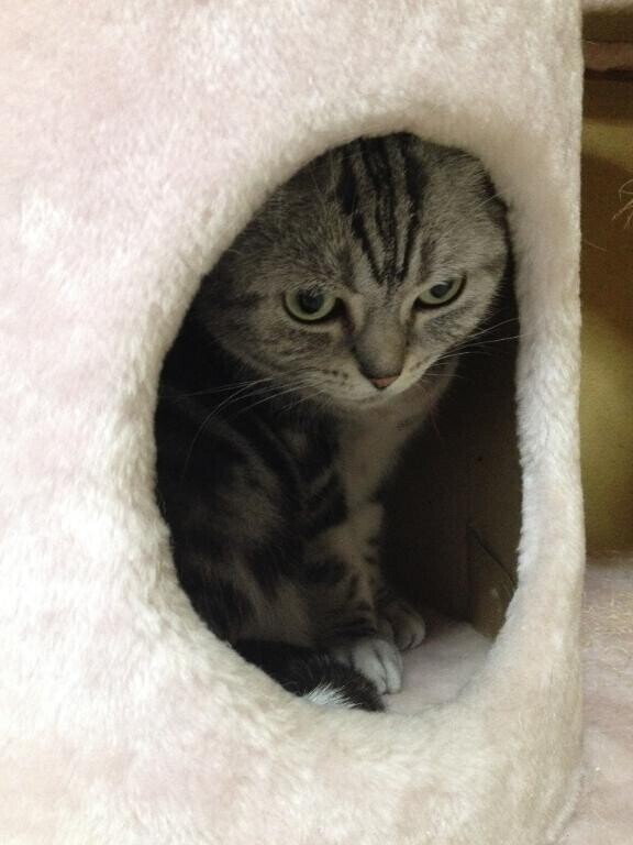 ☆次回のシフトについて☆