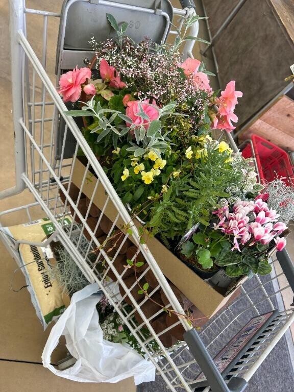 花いっぱい買いました