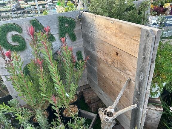 こんなイメージで庭に作りたい