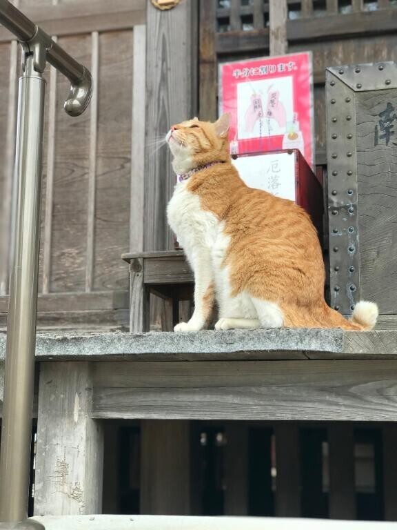 明日は満員御礼