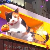 10時から