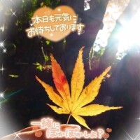 上野【うえの】