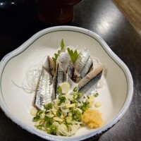 猫山【ねこやま】