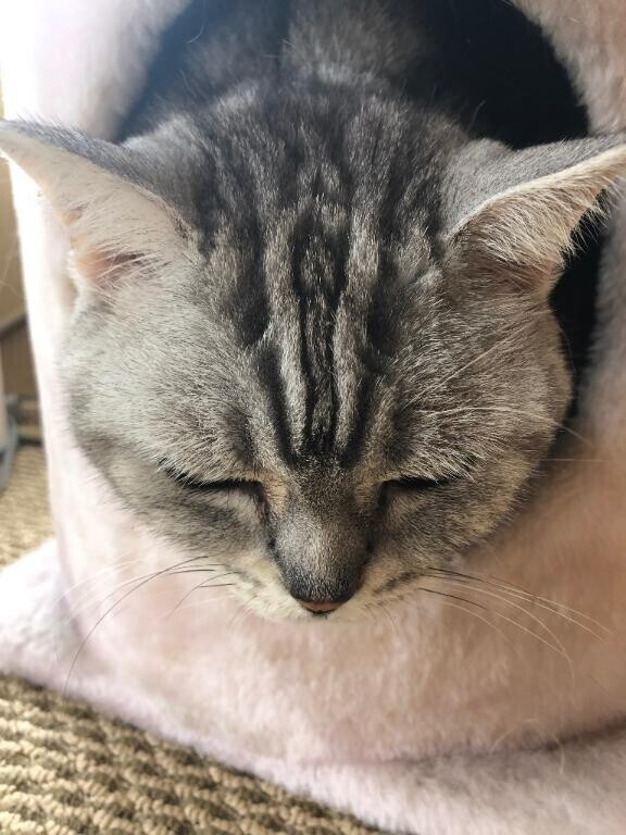 おはようございます♪♪