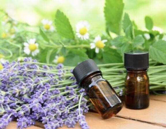 演歌は、お好き？？