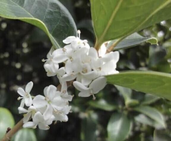 [お題]from:キャンセルやだ～！さん