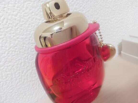 日記ネタ[お題]from:サンバさんφ( 'ㅁ' *   )