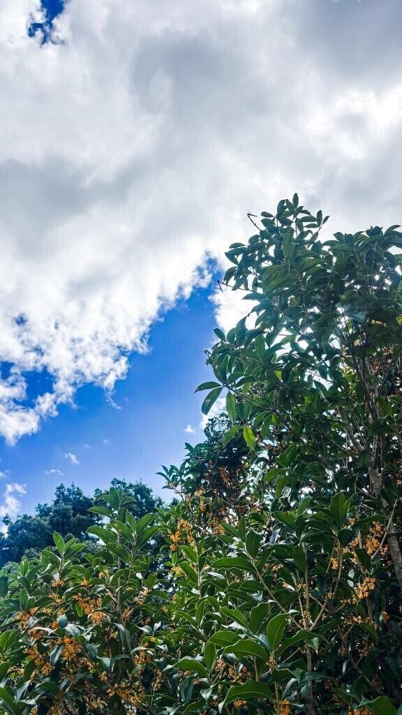 ☆週末の3連休☆