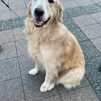 志村【しむら】