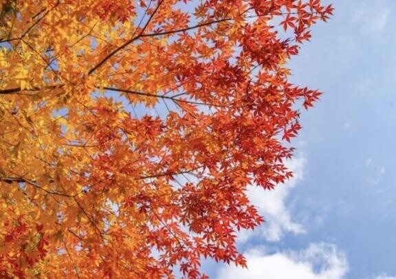 急ピッチに♪♪