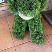 高嶺【たかね】