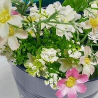 遠藤【えんどう】