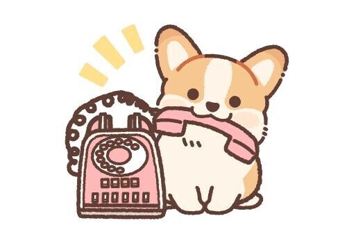 変更次回水曜日🩵