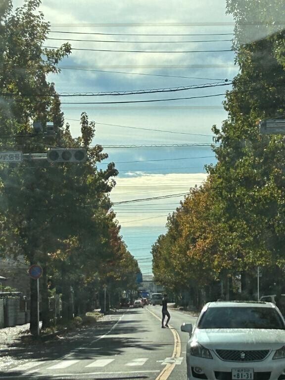 早く貴方の松茸食べたいよ