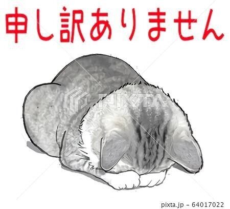 申し訳ありません‍