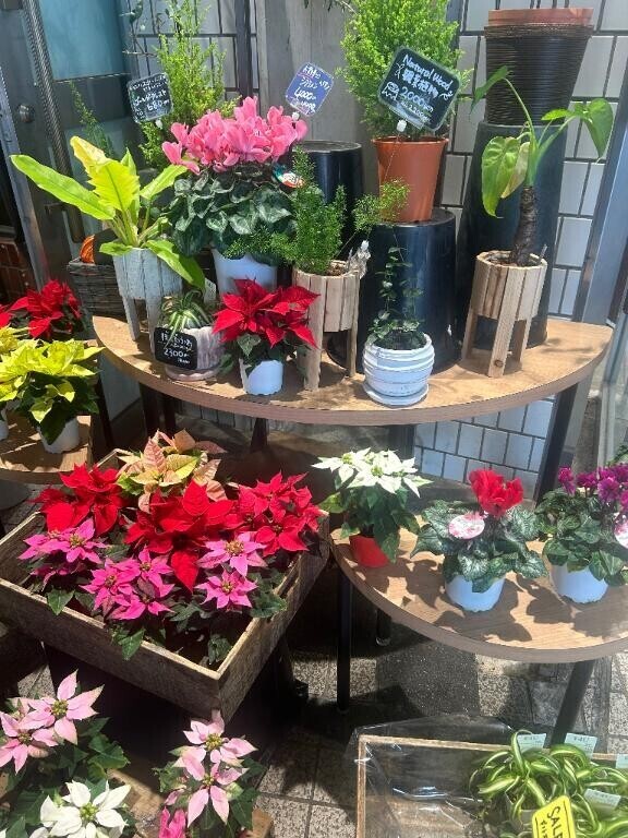 早く貴方に抱きしめられたいよ