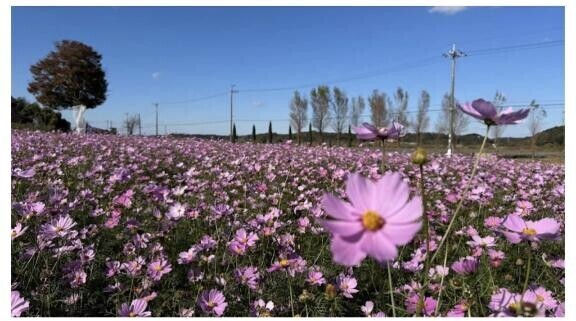 バタバタな、1日だった…。