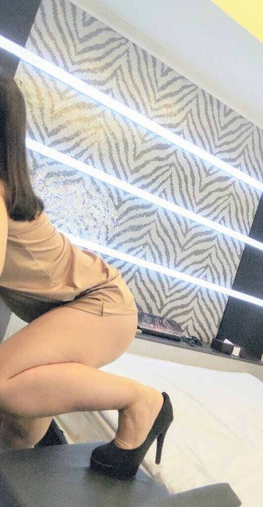 シンデレラサイズ