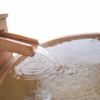 あまり出ないですが明日出ます