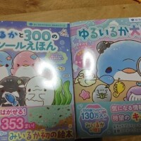 みいるかちゃんに会えたよ