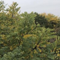 気持ちいいなよ