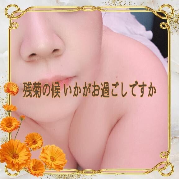 11月13日 今日は何の日？